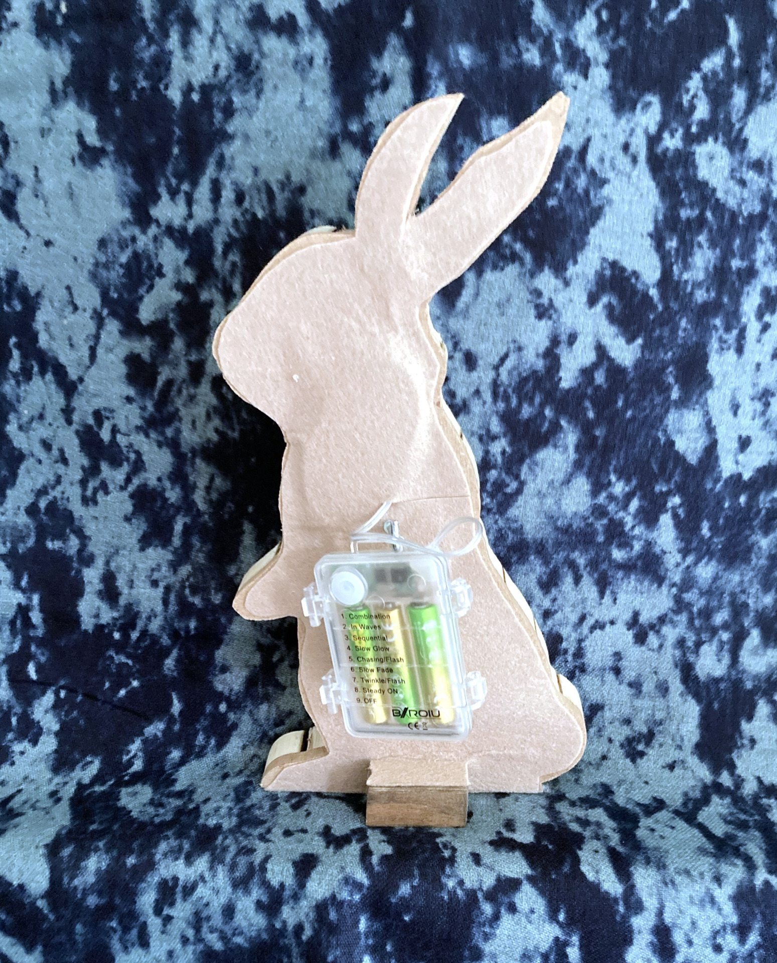 Illuminated rabbit back