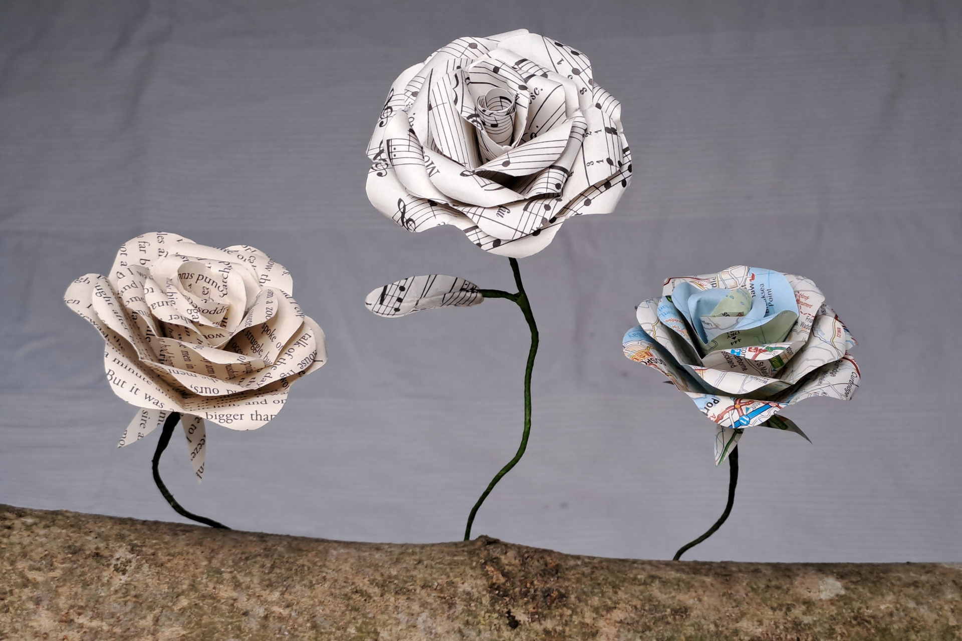 PaperRoses